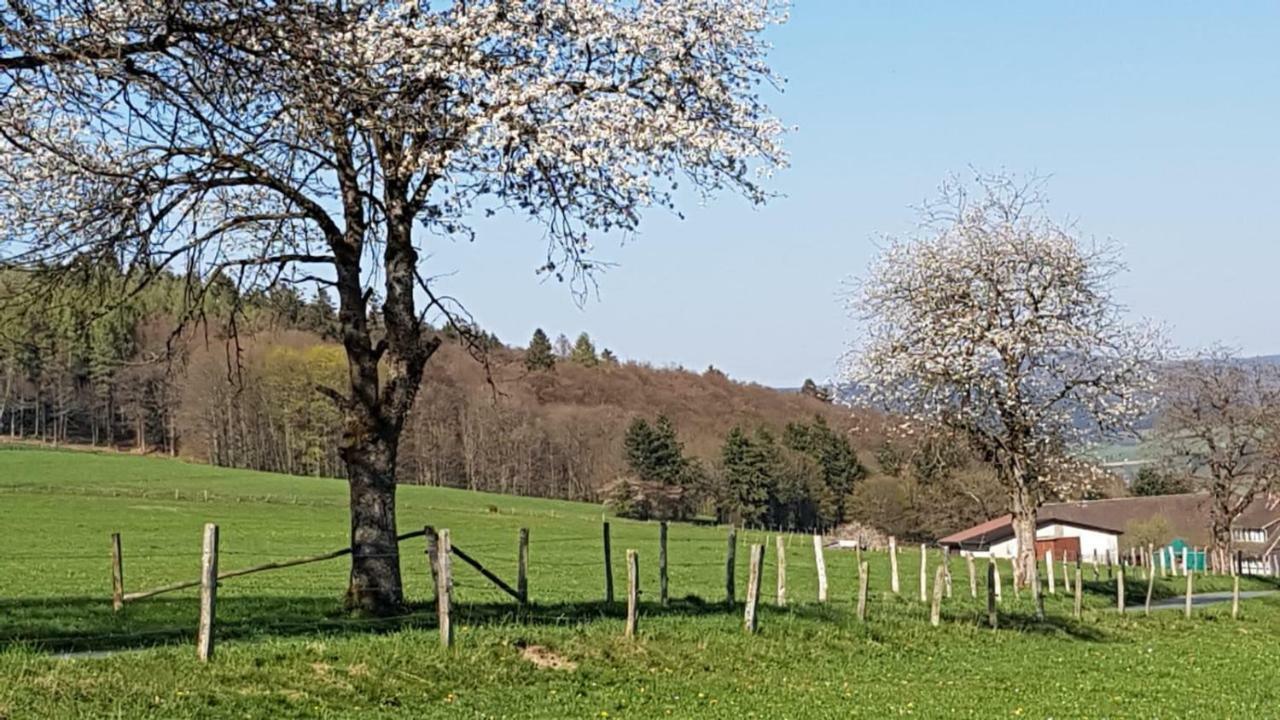 Ferienhaus "Am Gehre" 巴特贝勒堡 外观 照片